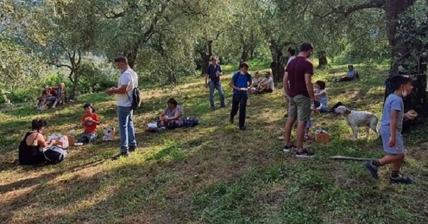 merenda-oliveta