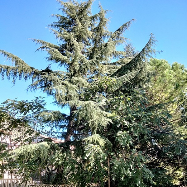 IMG20221003102540