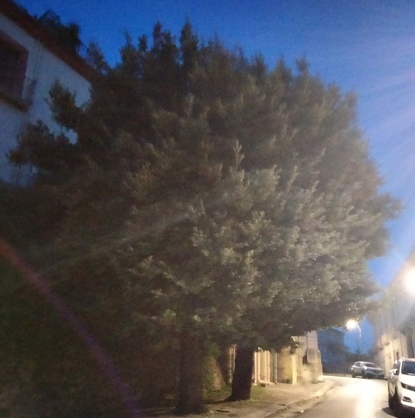IMG20221021184239