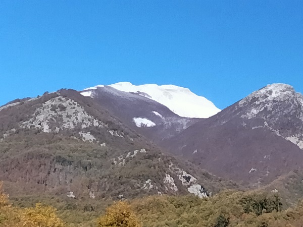 IMG20221123103344