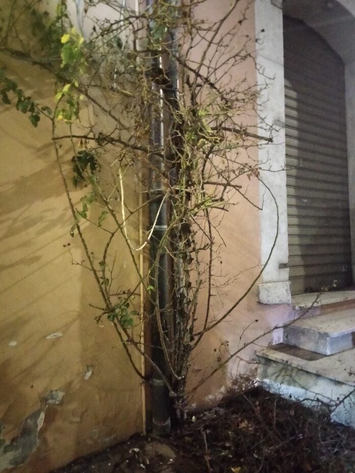IMG20230121194500