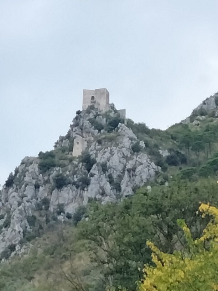 IMG20221011145901