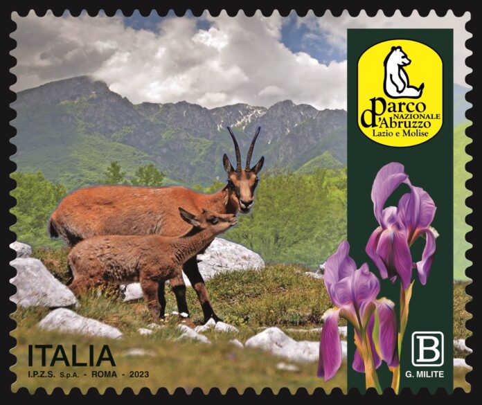 PARCO NAZIONALE D'ABRUZZO_PROVINO