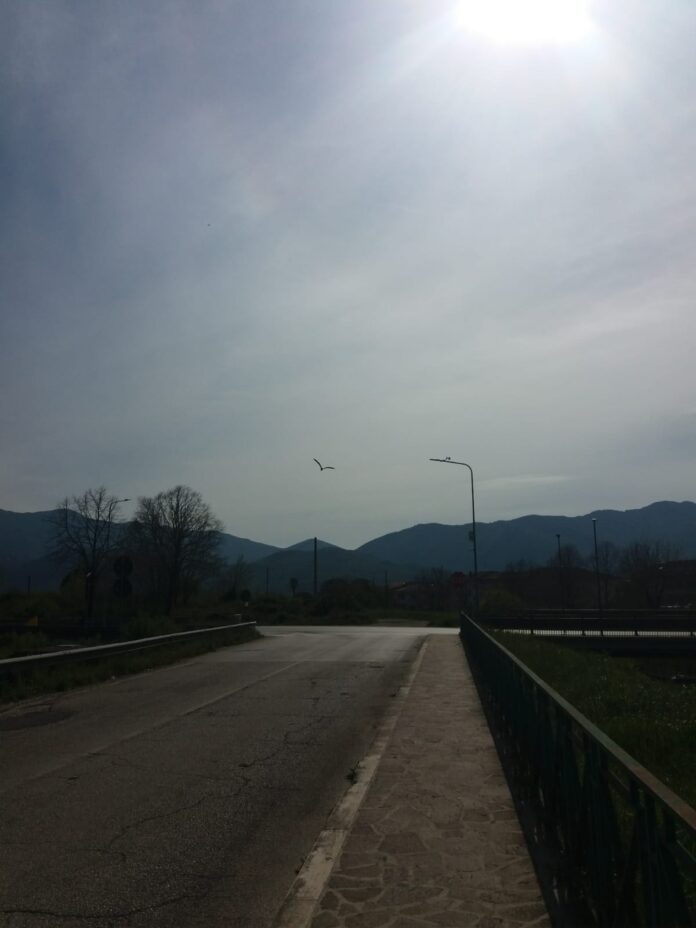 IMG-20230411-WA0008