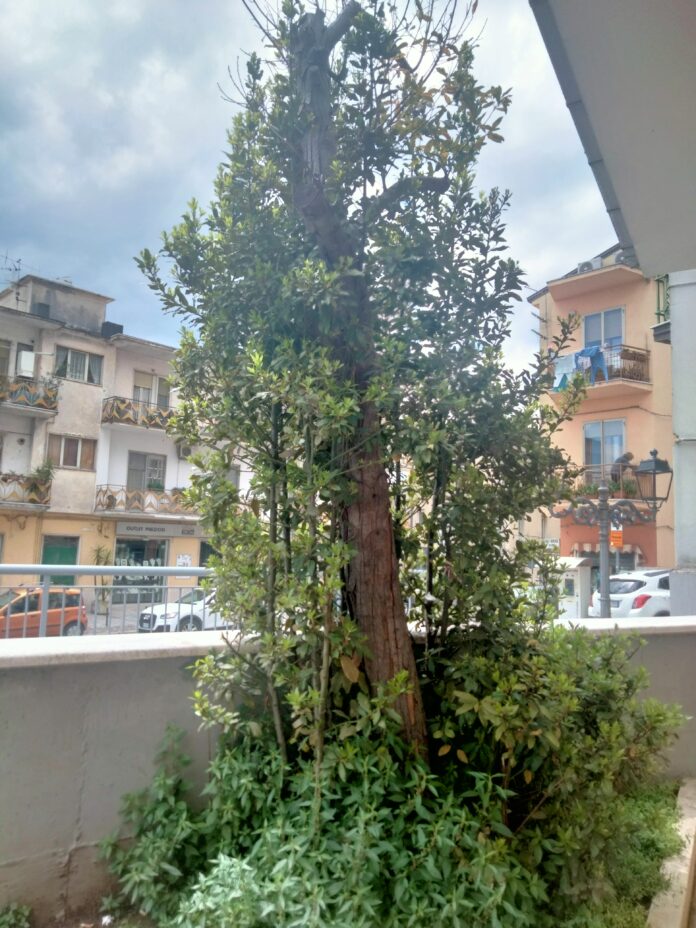 IMG20230504121232 (2)