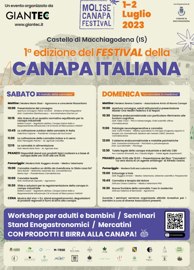 Senza titolo