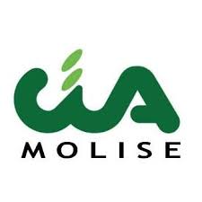 cia molise