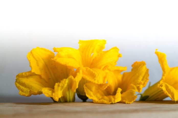 flowers-pumpkin-g53f02ca81_1280