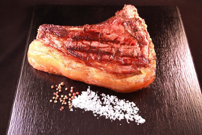 t-bone-g58668b698_1280