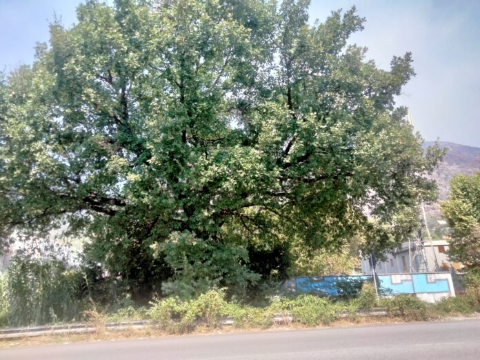 IMG20230825114120