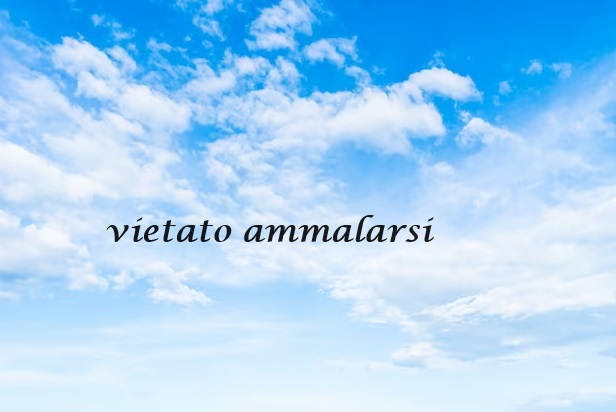 Senza titolo