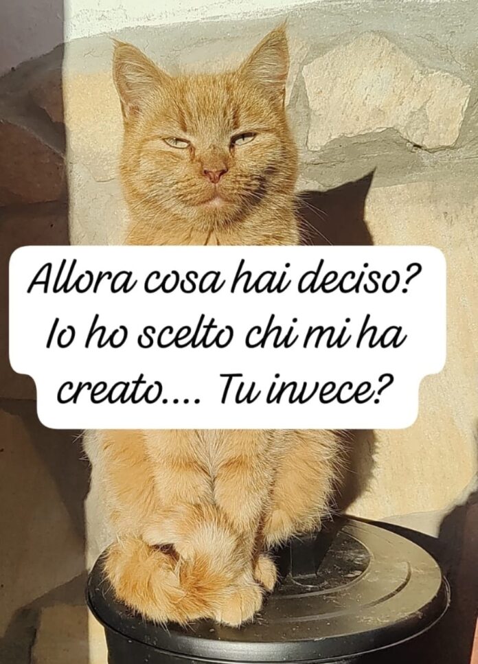 don emilio 22 dicembre 2023