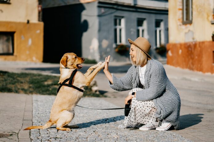 cane e padrona