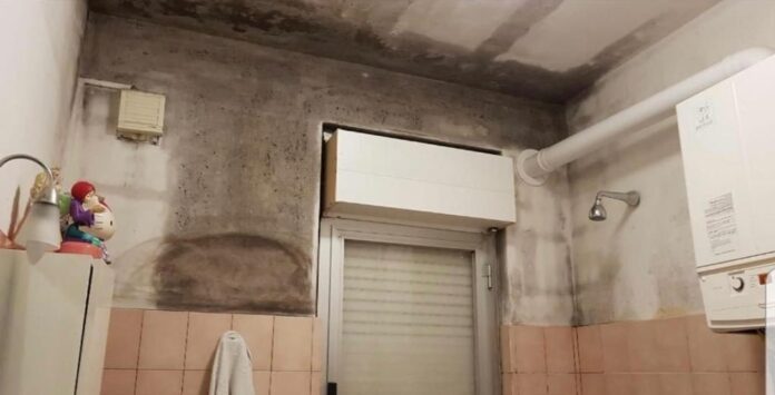 casa invalidi venafro con muffa
