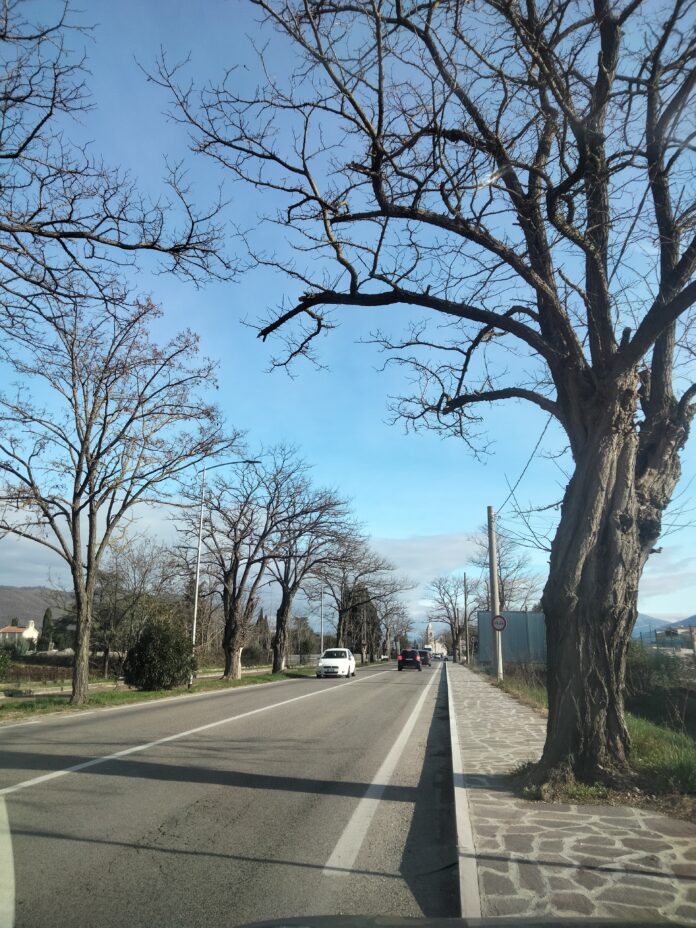 venafro viale san nicandro 1