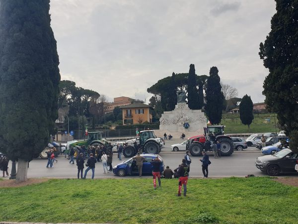 trattori a roma