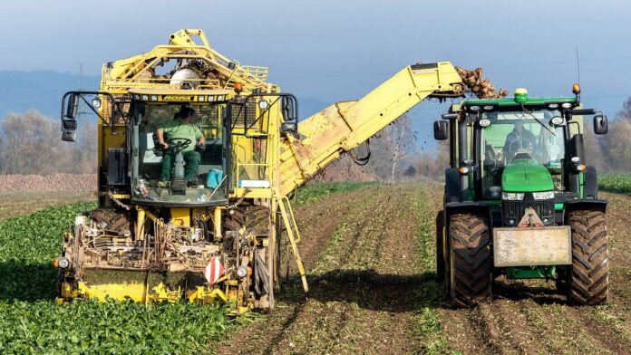 coltivazioni trattori terreni agricoli
