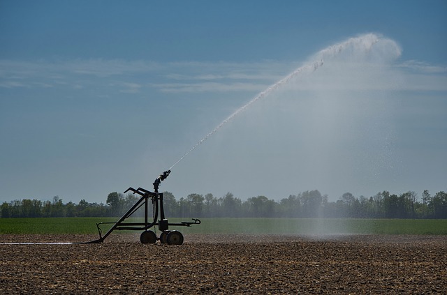 irrigazione agricoltura
