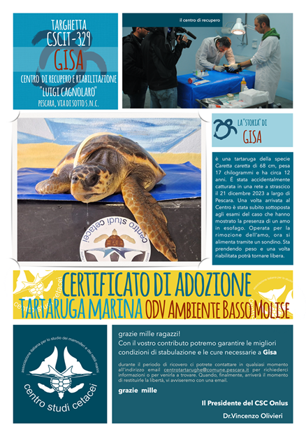 adozione gisa ABM - Copia
