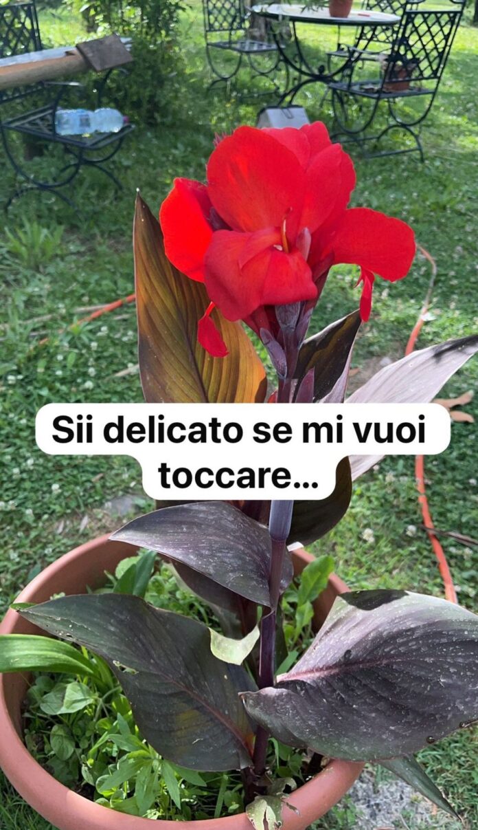 don emilio 12 giugno