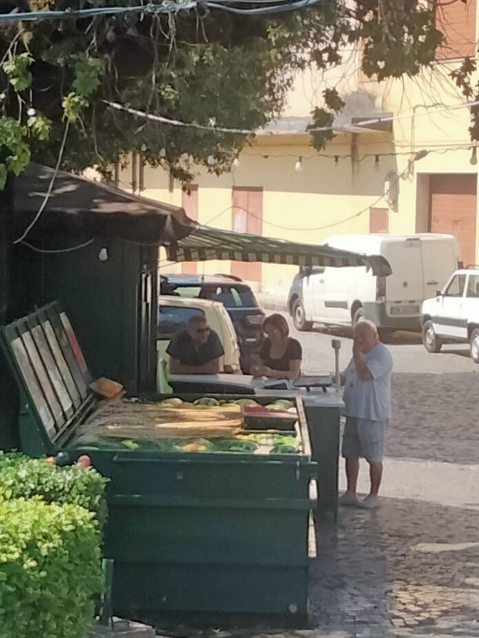 vendita cocomeri 4 cannelle