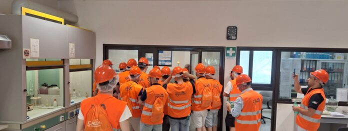 Visita
