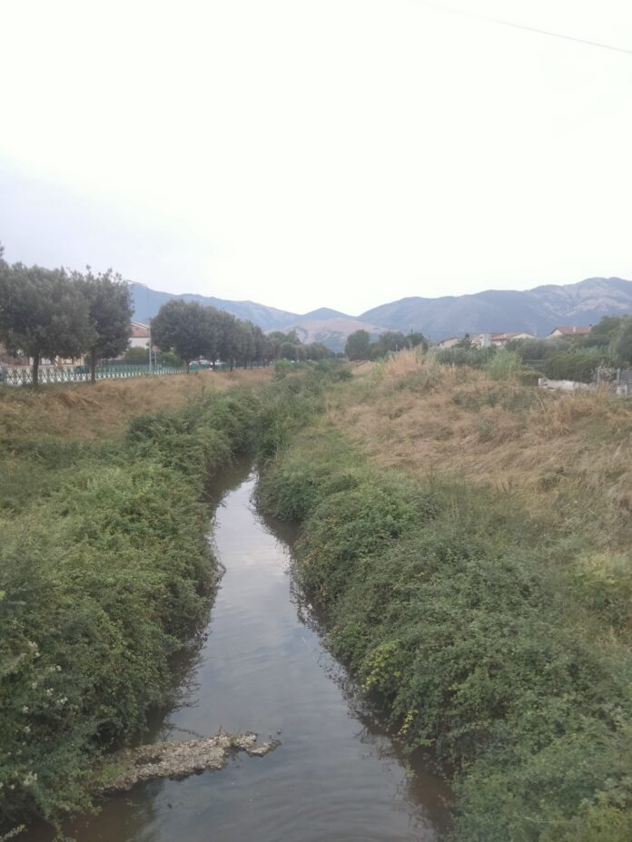 IMG20240803191113