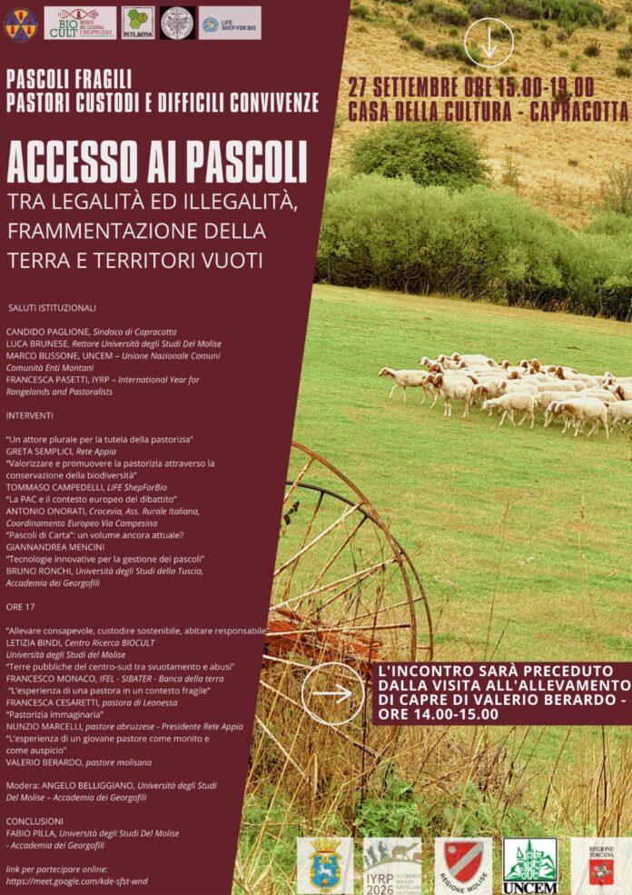 27 sett Capracotta workshop