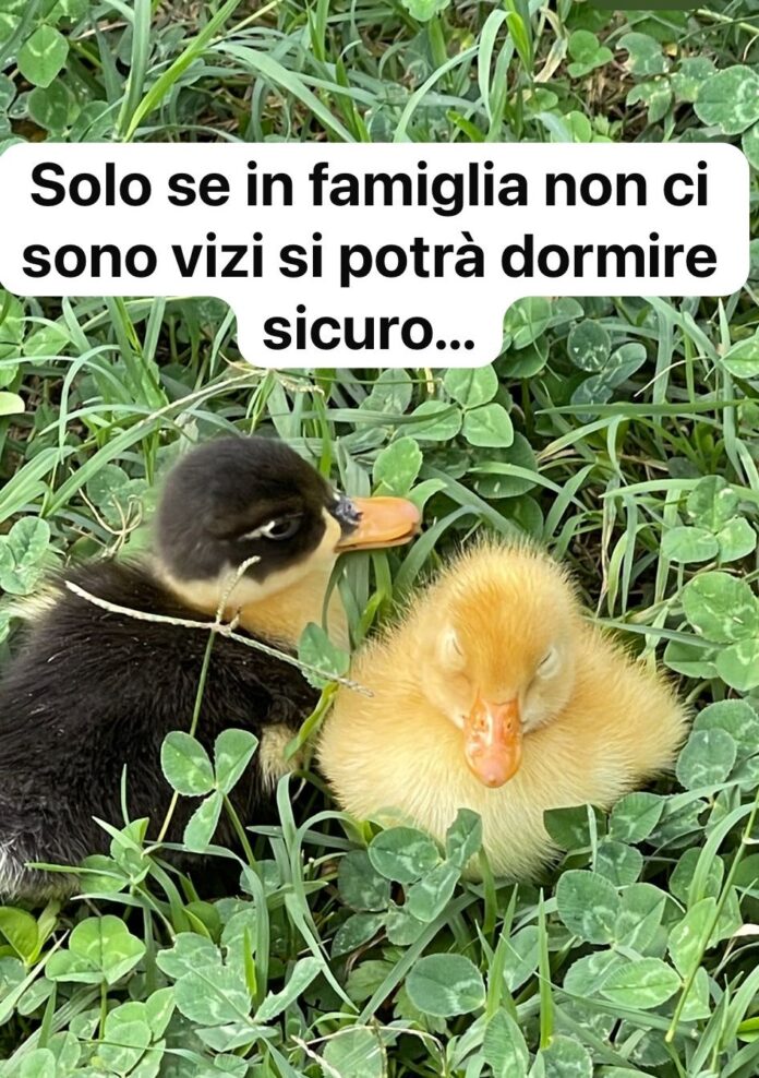 don emilio 3 settembre