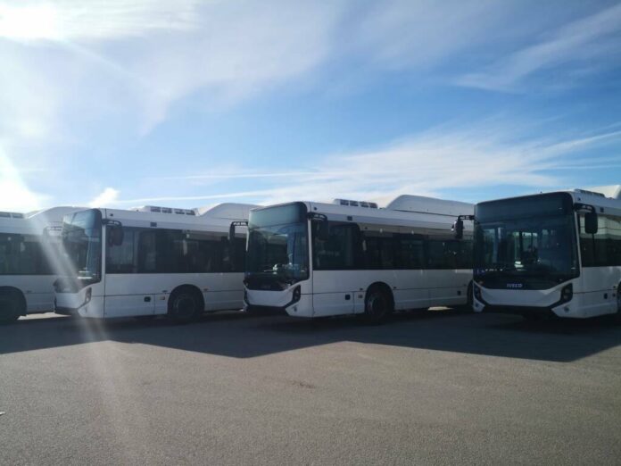 autobus elettrico campobasso