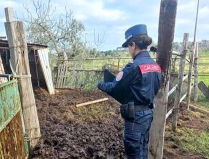 carabinieri forestali 898744