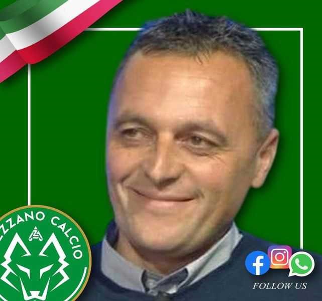 dino petrangelo