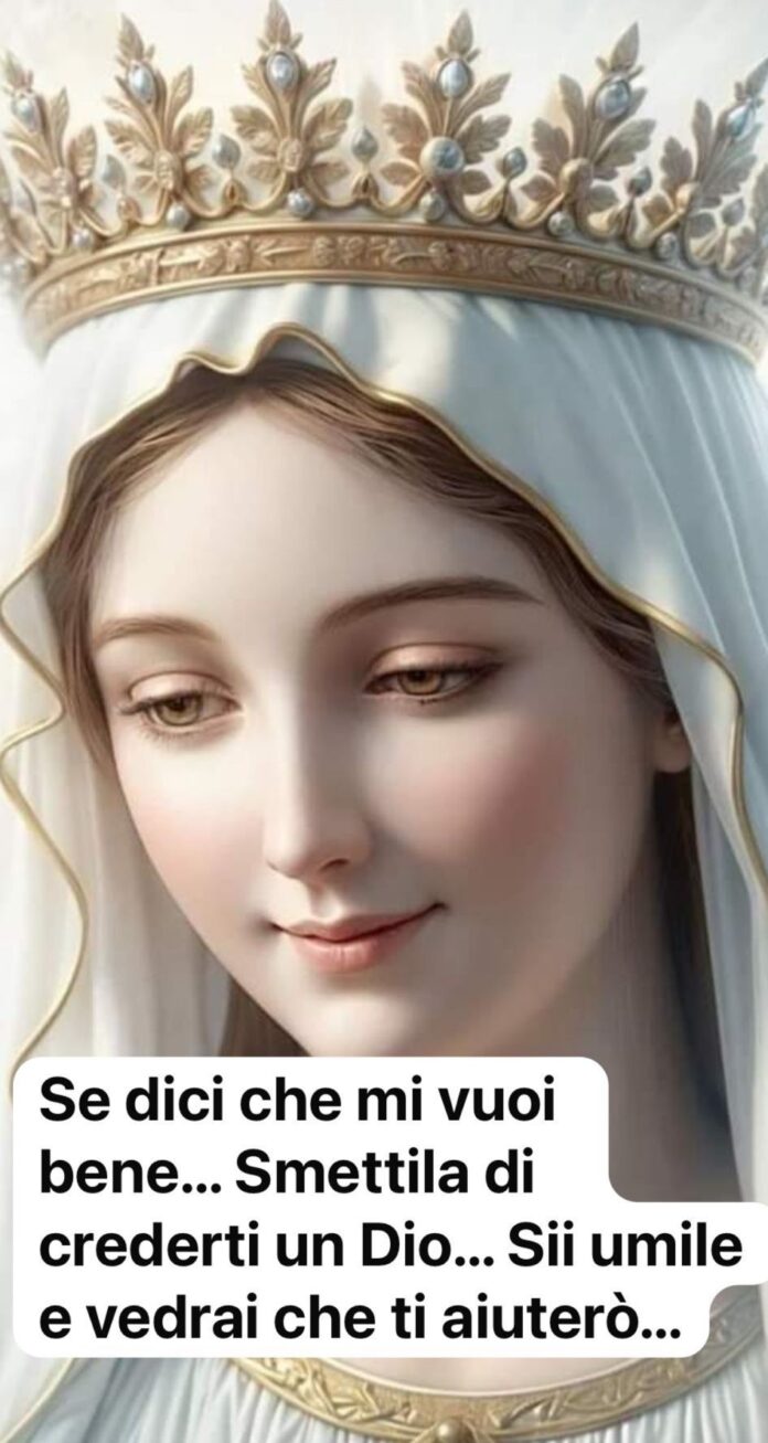 don emilio 19 novembre