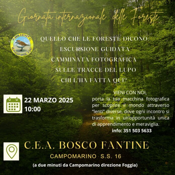 Giornata FORESTE