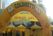 Coldiretti Molise: l’Osservatorio speciale per il monitoraggio dei prezzi al consumo in visita al mercato di Campagna Amica a Campobasso