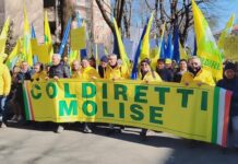 MADE IN ITALY: ANCHE COLDIRETTI MOLISE VENERDI’ 19 GIUGNO A BARI CONTRO I TRAFFICANTI DI OLIO