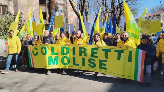 coldiretti molise 02
