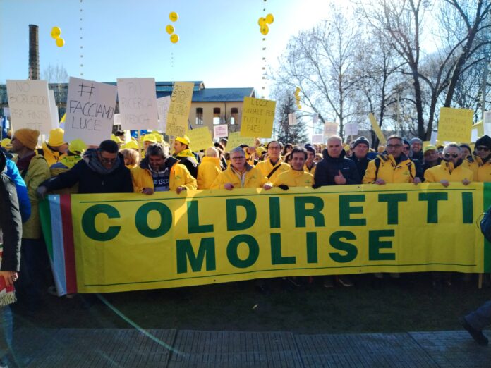 coldiretti molise