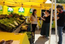 CALDO: COLDIRETTI MOLISE, PER COMBATTERLO LA MIGLIORE ARMA E’ LA DIETA MEDITERRANEA