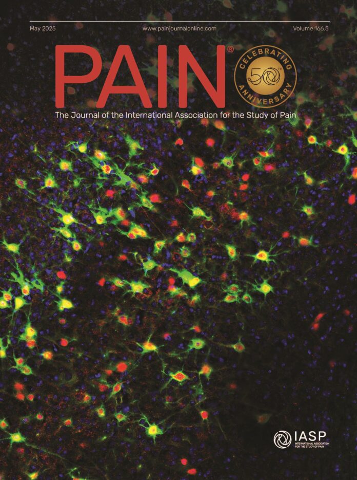 Copertina PAIN Giada Mascio