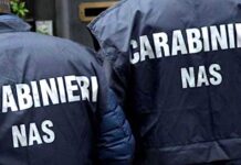 Cavalieri del lavoro: non solo imprese, anche moda e vino