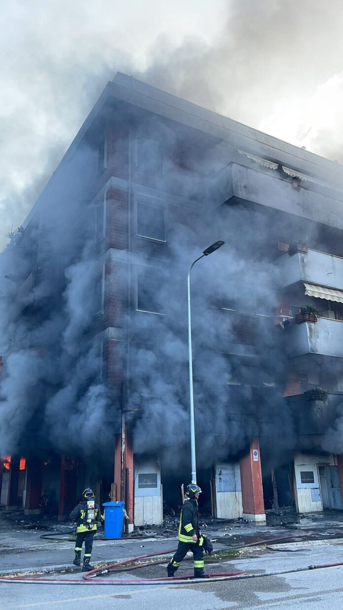 8effac4d-c24f-4211-92b7-51fbb21ce3b9