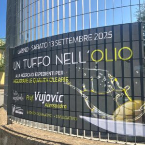 605a447e-681c-4dbc-8947-1f7555ef79c1