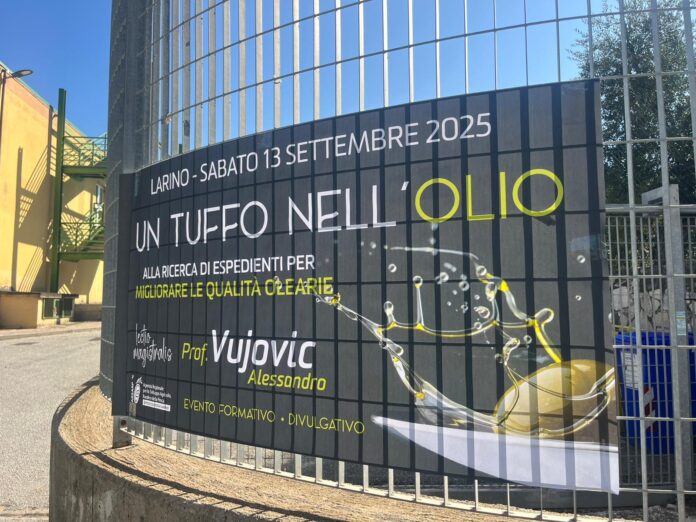 605a447e-681c-4dbc-8947-1f7555ef79c1