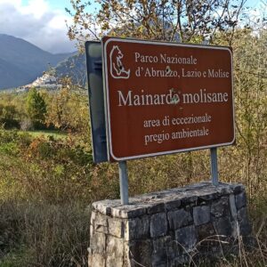 IMG_20231027_152237_Fabio Converio (1)