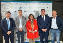 DANIELE SAIA: LE DICHIARAZIONI A MARGINE DELLA VOTAZIONE DELLA RISOLUZIONE A TUTELA DELL’OSPEDALE