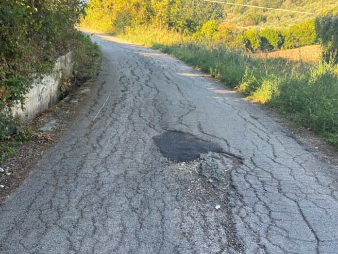 WhatsApp Image 2025-10-04 at 09.46.29