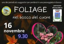 AMBIENTE BASSO MOLISE. “IL RICHIAMO DEL BOSCO“: UN FASCINO SPECIALE ED UNICO