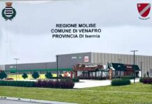 Alberi abbattuti sulla Venafrana Raffaele Mancini: ‘’Tagliati per la sicurezza, ne pianteremo degli altri’’