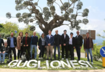 Guglionesi: richiesta di Consiglio comunale monotematico per revocare la delibera Terna del 2012